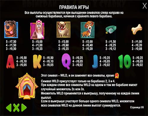 Simvol The Dog House